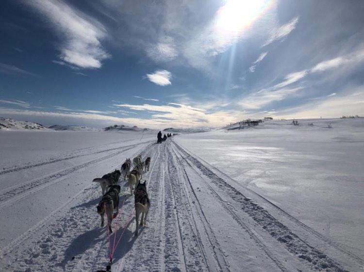 Levajok Lodge Tana Exteriér fotografie
