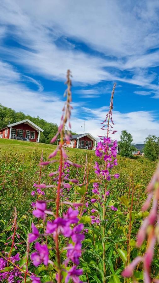 Levajok Lodge Tana Exteriér fotografie