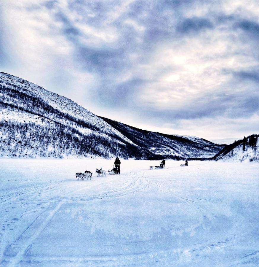 Levajok Lodge Tana Exteriér fotografie