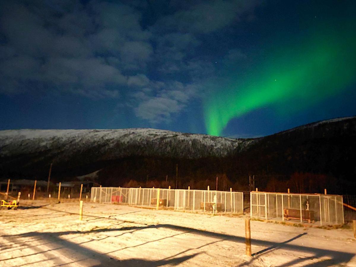Levajok Lodge Tana Exteriér fotografie